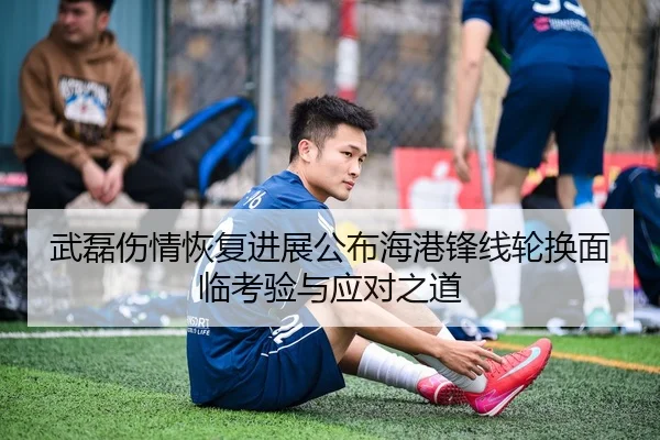 武磊伤情恢复进展公布海港锋线轮换面临考验与应对之道